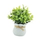 thumbnail image 4 of Pequeñas plantas falsas, plantas artificiales en macetas, mesa decorativa, centro de mesa, adorno de escritorio, plantas de imitación para alféizares Blanco, 4 of 5