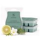 thumbnail image 1 of Cápsulas de Cera Iced Balsam de Scentsy 235 g (Pack de 3), 1 of 4
