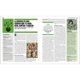 thumbnail image 2 of Dk El Libro De La Musica Clasica, 2 of 2
