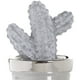 thumbnail image 3 of Figura Decorativa Cactus Gancho Cerámica Concreto, 3 of 5