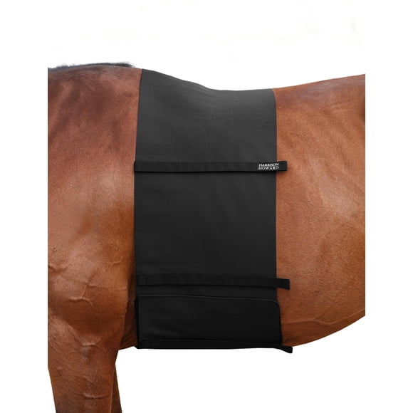 Cinturón Abdominal Elástico Harrison Howard para Protección de Espuelas