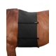 thumbnail image 1 of Cinturón Abdominal Elástico Harrison Howard para Protección de Espuelas, 1 of 6