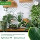thumbnail image 4 of Bombilla LED de cultivo GE PAR38 Flood Light para plantas de interior, 4 of 9