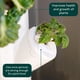 thumbnail image 3 of Insertos De Silicona Para Jardín Vertical Interior Paquete De 5, 3 of 6