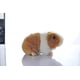 thumbnail image 3 of Peluche Conejo y Cobaya 20 cm Naranja, 3 of 5