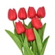 thumbnail image 1 of Xiao Hua 5 Tulipanes de Simulación, Efecto de Simulación de Flor de Seda de Plástico Realista, Adecuado para Decoración Del Hogar, Rojo, 1 of 4