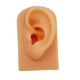 thumbnail image 2 of Modelo De Oreja Suave De Silicona Herramienta De Ense?anza Apoyos De Pantalla Piel, 2 of 5