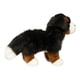 thumbnail image 3 of Peluche Douglas Stevie Bernese Mountain Dog 25 cm, 3 of 9