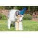 thumbnail image 3 of ¡Busca a Ball Chuckit! Cumpleaños para perros de tamaño mediano de 9 a 27 kg, 3 of 5