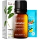thumbnail image 1 of Aceite Esencial Gya Labs de Alcanfor 10 mL para Cabello, Piel y Difusor, 1 of 6