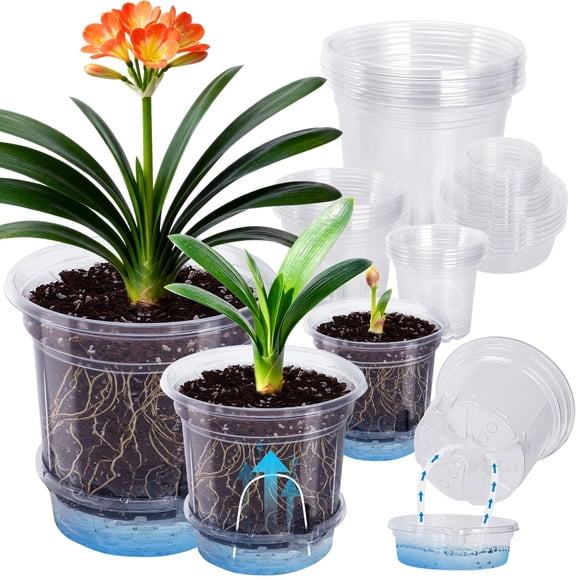 MIXC Macetas transparentes autorregables 16,5/12,5/10 cm, 18 unidades