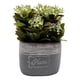 thumbnail image 1 of Planta Artificial Macetero Cerámica Vintage Plants Cubo blanco, 1 of 3