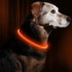 thumbnail image 2 of Collar LED para perro, collares iluminados para perro, luces recargables para perros para paseos nocturnos, 2 of 5