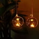 thumbnail image 4 of Terrario redondo colgante de vidrio, 4 of 5