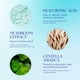 thumbnail image 4 of Sérum Hydra Cool Refrescante E Hidratante 30 Ml, 4 of 6