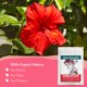 thumbnail image 2 of Té de Hibisco Orgánico en Hojas Sueltas 113 g - Zhivana Organics, 2 of 7
