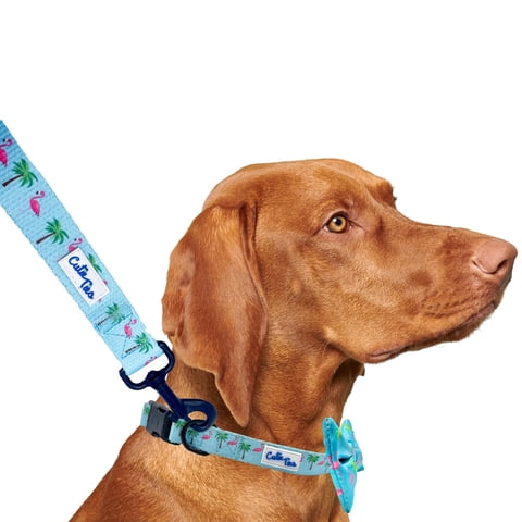 Cutie Ties - Correa Para Perros, Lindas Corbatas De Nailon Con Forma De Flamencos, Duraderas Para Perros Grandes