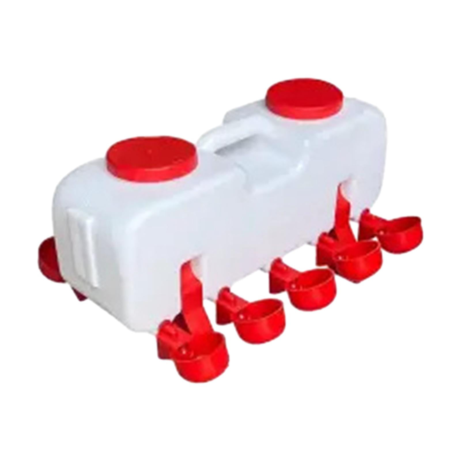 Bebedero Para Aves De Corral, Comedero Para Pollitos, Bebederos Para Gallinas, Palomas, Codornices, Semiautomático S