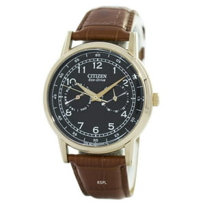 Reloj Citizen Eco-Drive Modelo Ao9003-08E Para Hombre