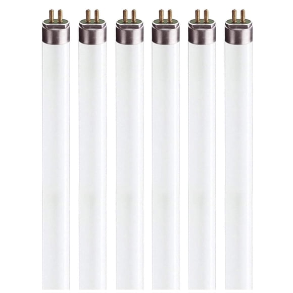 Bombillas fluorescentes Circle F8T5 de 30 cm, color blanco frío, 4100 K, 8 W