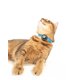 thumbnail image 5 of Collar para gatos Nuvuq con soporte para airtag, suave y cómodo, azul, 5 of 7