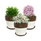 thumbnail image 3 of Set de 3 Maceta Greta 14cm Blanca y sus platos, 3 of 3