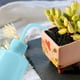 thumbnail image 4 of Botella de riego de plástico de 500 ml, tipo apretable, para herramientas de jardinería/jardinería/jardineras suculentas, 4 of 8