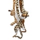 thumbnail image 1 of Pack X Animales De La Selva C Sonido, 1 of 3