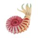 thumbnail image 1 of Simulación De Animales Del Océano Modelo Figura Juguetes Educativos Para Ni?os - Caracol De Mar Rosa, 1 of 5