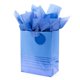 thumbnail image 1 of Bolsa de regalo Hallmark de 23 cm con rayas de foil azul y papel de seda, 1 of 6