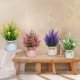 thumbnail image 4 of Flores artificiales en maceta Yoratee con maceta, 6 unidades para decoración, 4 of 6