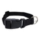 thumbnail image 2 of Collar Negro para Mascotas 50cm, 2 of 3