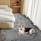 thumbnail image 4 of Alfombra Fairblink Ultra Soft de 150 x 240 cm para salón, color gris, 4 of 9
