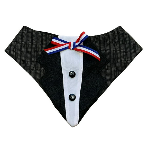 Traje Bandana Huaso Elegante para Perros y Gatos S