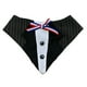 thumbnail image 1 of Traje Bandana Huaso Elegante para Perros y Gatos S, 1 of 3