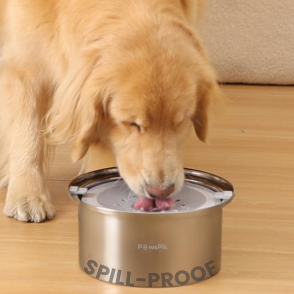 Cuenco para perro PAWSPIK 4 L, acero inoxidable a prueba de derrames