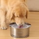thumbnail image 1 of Cuenco para perro PAWSPIK 4 L, acero inoxidable a prueba de derrames, 1 of 7