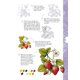 thumbnail image 2 of Flores y plantas silvestres - Dibujar en 10 pasos, 2 of 4