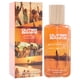 thumbnail image 3 of Perfume Lottie London Outer Banks Paradise On Earth EDP 50ml Unisex, 3 of 3