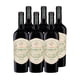 thumbnail image 1 of 6x Vino Caliterra Tributo Gran Reserva Carmenere 750cc, 1 of 2
