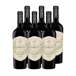 6X Vino Caliterra Tributo Gran Reserva Carmenere 750Cc