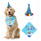thumbnail image 5 of Kit Decoración Cumpleaños Para Perro Bandana Gorro Globos, 5 of 6