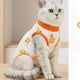 thumbnail image 3 of Traje De Recuperación Postoperatoria Para Mascotas Paquete De 2 Para Gatos Y Perros, 3 of 7