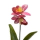 thumbnail image 2 of Planta Artificial Orquidea Rosada Macetero De Ceramica, 2 of 6