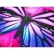 thumbnail image 2 of Bolso para notebook iColor de 15,6 pulgadas, 2 of 3