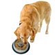 thumbnail image 4 of Cuenco para perros Slow Feed Mr. Peanut's, pequeño, de acero inoxidable, 4 of 7