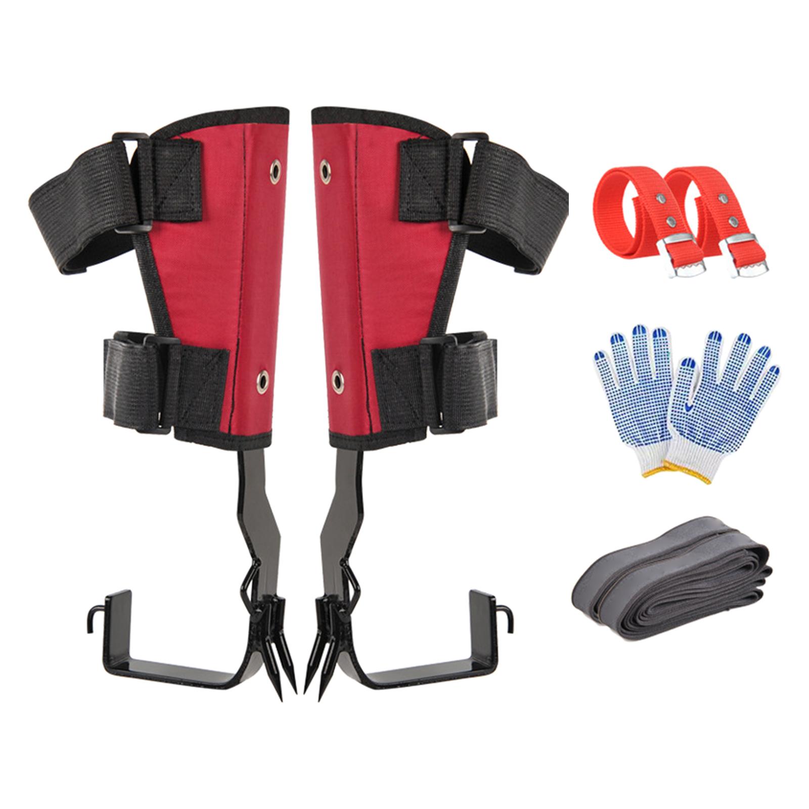Magideal - Juego De Púas Para Trepar Árboles Equipo Para Trepar Árboles Acero Inoxidable Con Guantes Espiga Para Trepar Árboles Verticales Para Recolección De 2 Engranajes