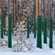thumbnail image 5 of Protect Your Trees and Keep Them Warm with 1pc Antifreeze Bandage Tree Protector Wrap - Safe for Critters, Suitable for Shrub Plants and Tree Trunks, 65ft Length, Winter-Proof and Moisturizing, Ideal, 5 of 5