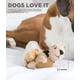 thumbnail image 2 of Juguetes de repuesto para perros Outward Hound Squeakin' Squirrels, paquete de 3, 2 of 5
