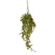 thumbnail image 1 of Ramo Cypress Rojo, 1 of 3